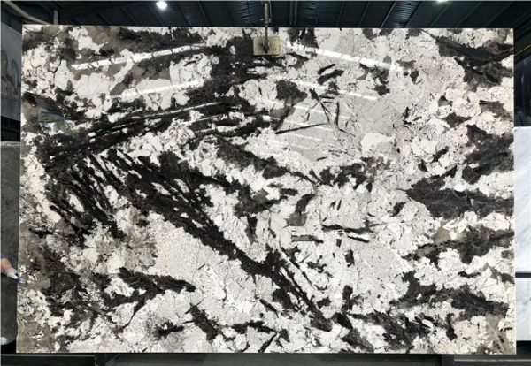 Silver Fox - Granite
