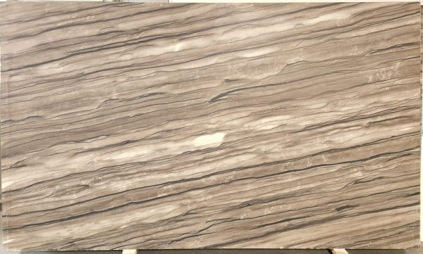 Sequoia Brown Fantasy