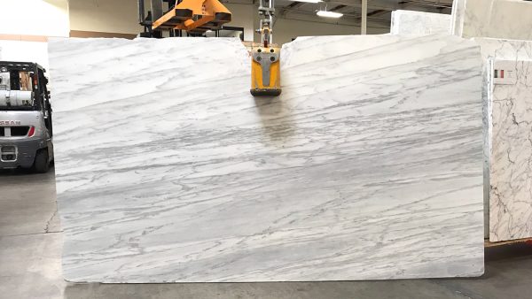 Calacatta Gold - Marble