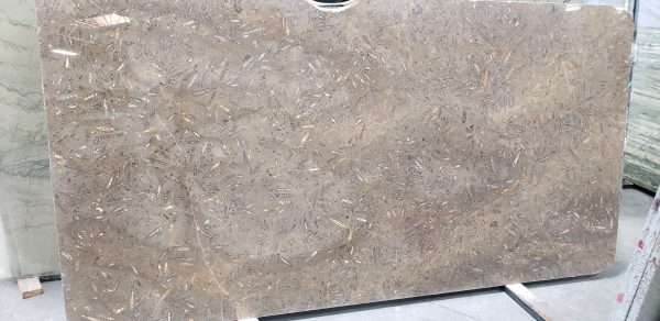 Jurassic Brown/Fossil - Marble