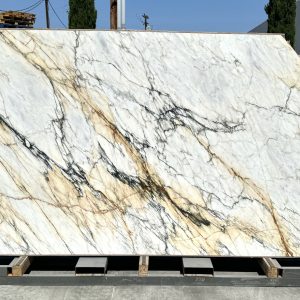 Calacatta Paonazzo Black - Marble