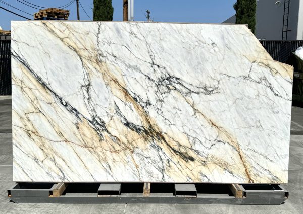 Calacatta Paonazzo Black - Marble