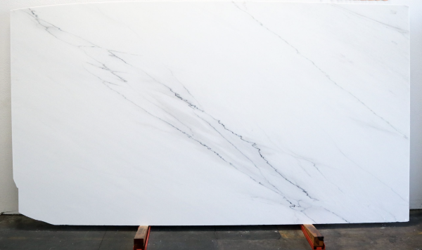 Staturario Lincoln Gold - Marble