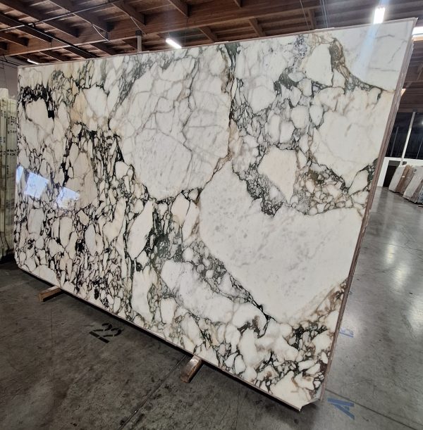 20251010_144446.jpg 20251010_144446.jpg