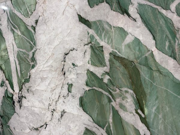 IMG_3726-2-1.jpg IMG_3726-2-1.jpg