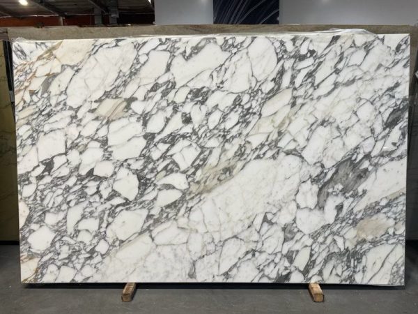 IMG_6164-2-1.jpg IMG_6164-2-1.jpg