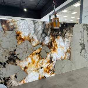 Patagonia Block UMM4422