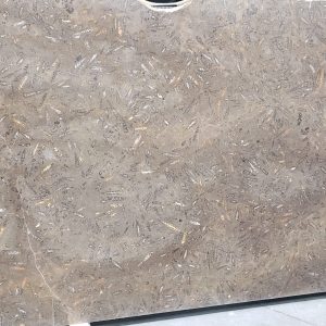 Jurassic Brown/Fossil - Marble