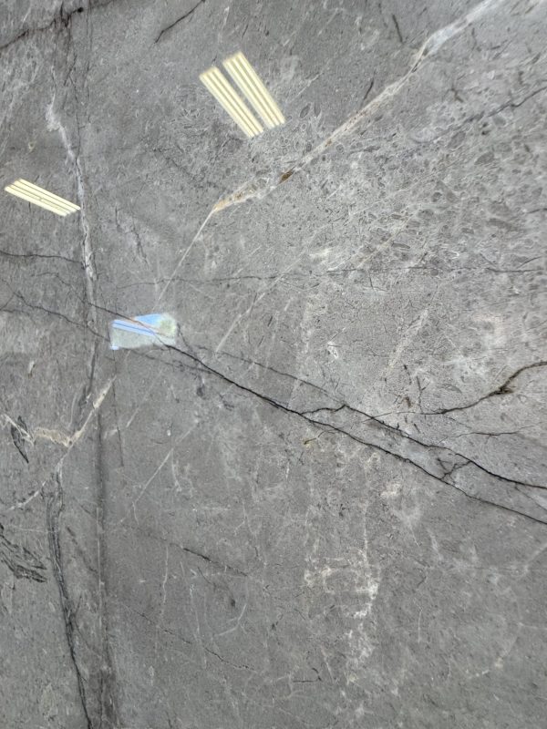 Silver-Rootss-scaled-1.jpg Silver-Rootss-scaled-1.jpg