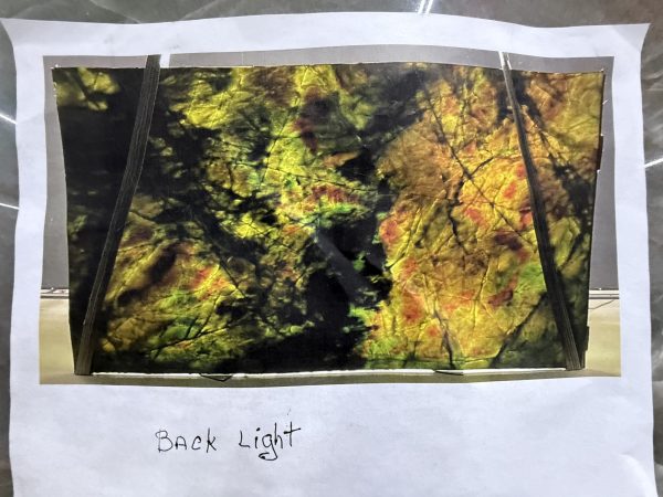 Tiffany-Verde-SQP5-scaled-1.jpg Tiffany-Verde-SQP5-scaled-1.jpg