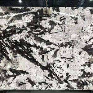 Silver Fox - Granite