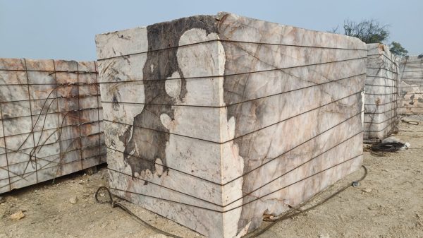 1000018433 1000018433