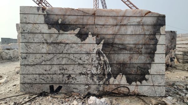 1000018437 1000018437