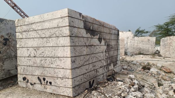 1000018441 1000018441