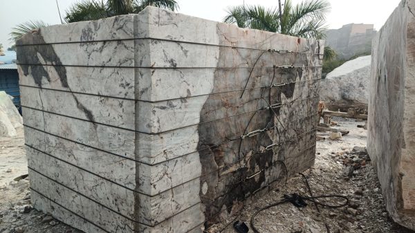 1000018445 1000018445