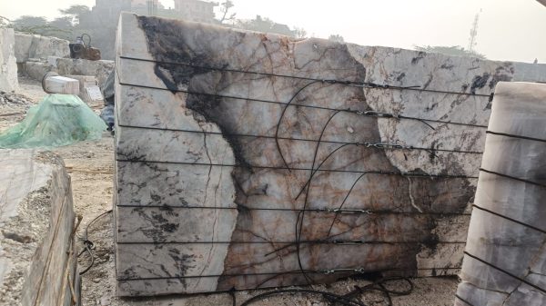 1000018451 1000018451