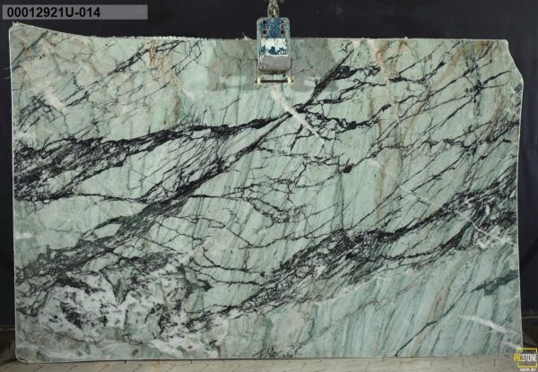 image-3-15-26-at-8-51-pm