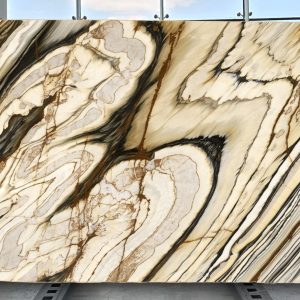 Oyster - Polished